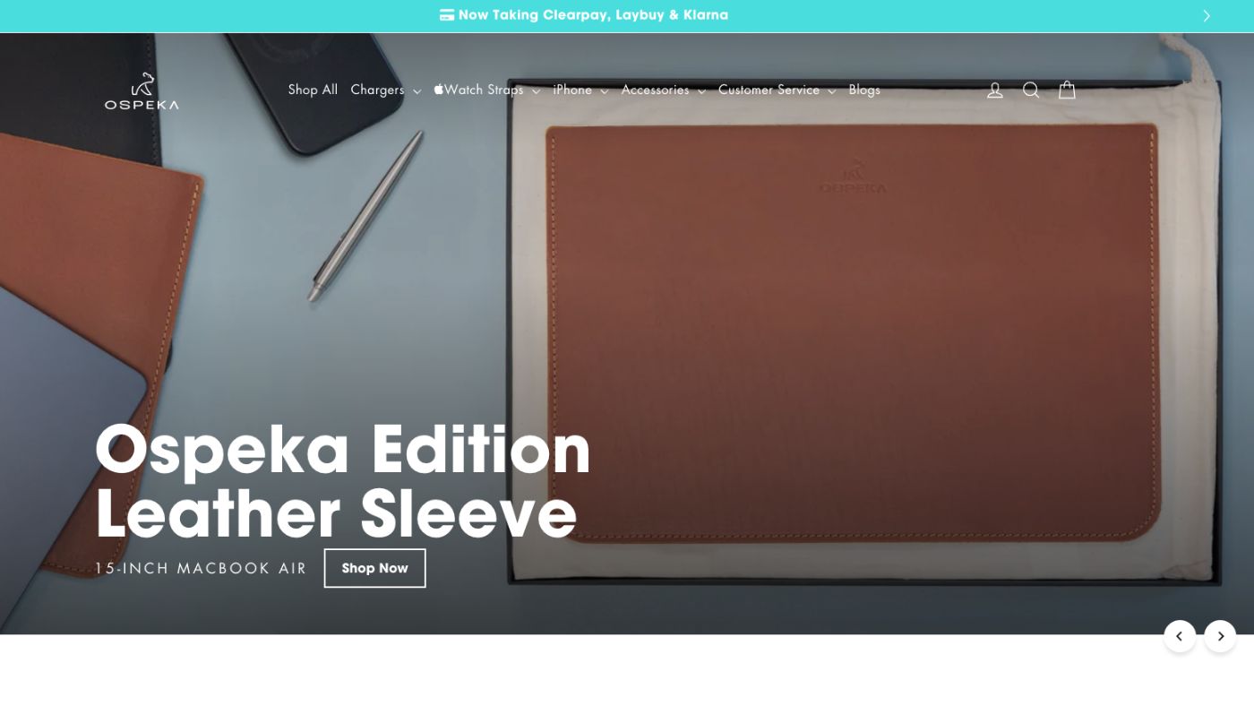 Shopify Motion theme